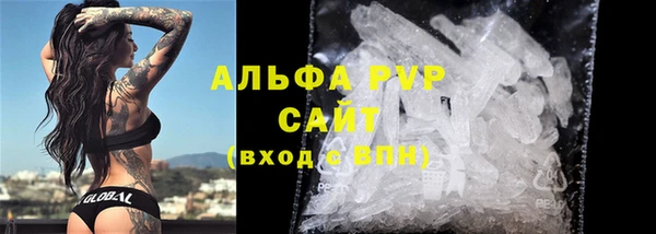 индика Пестово