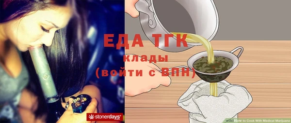 индика Пестово