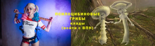 эйфоретик Пересвет