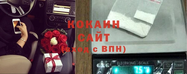 эйфоретик Пересвет
