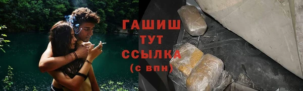 индика Пестово