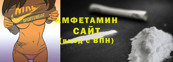индика Пестово