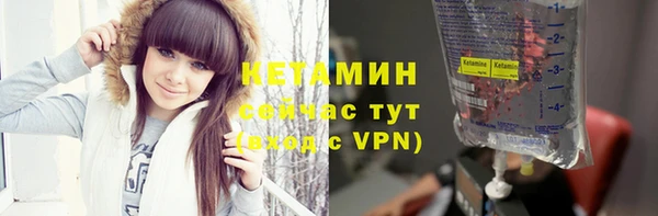 индика Пестово