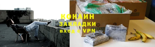 индика Пестово