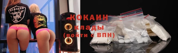 индика Пестово