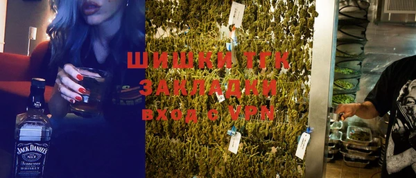 индика Пестово