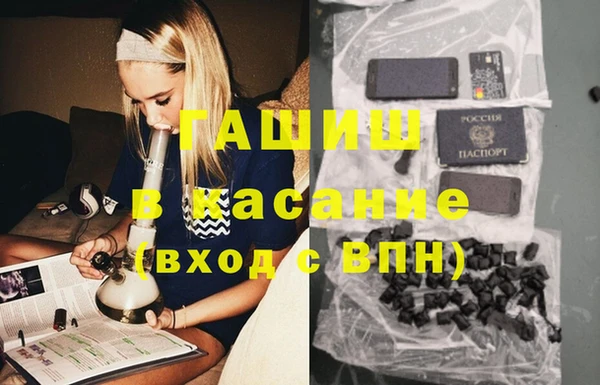 индика Пестово
