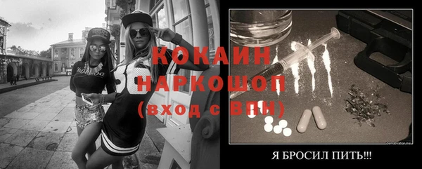 эйфоретик Пересвет