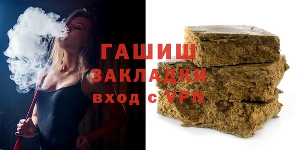 индика Пестово