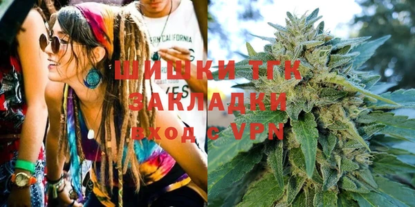 индика Пестово