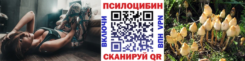 Галлюциногенные грибы Psilocybe  Удачный 
